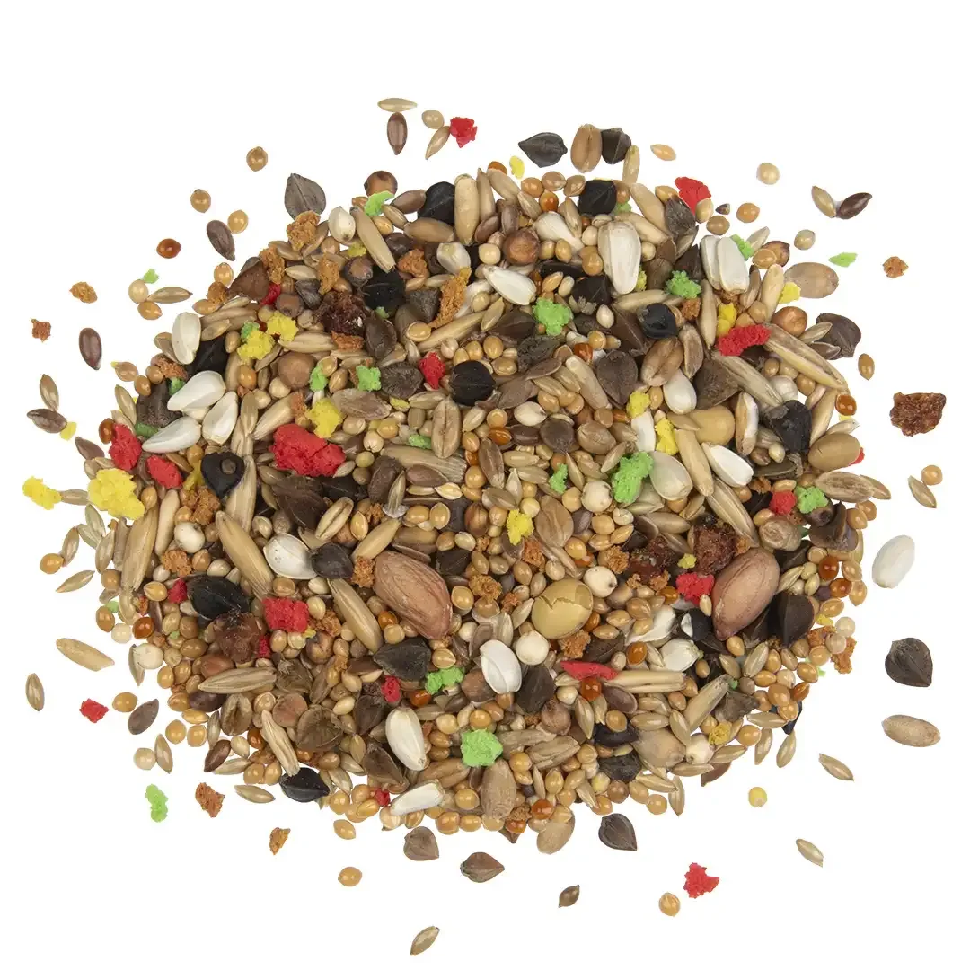 Country Agapornis 2,5 KG - Image 2