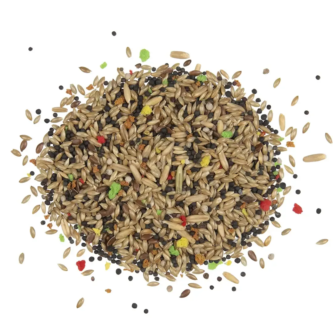 Country Kanarie 2,5 KG - Image 2