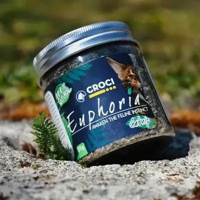 Croci Euphoria Catnip Pot 25 Gr - Image 2