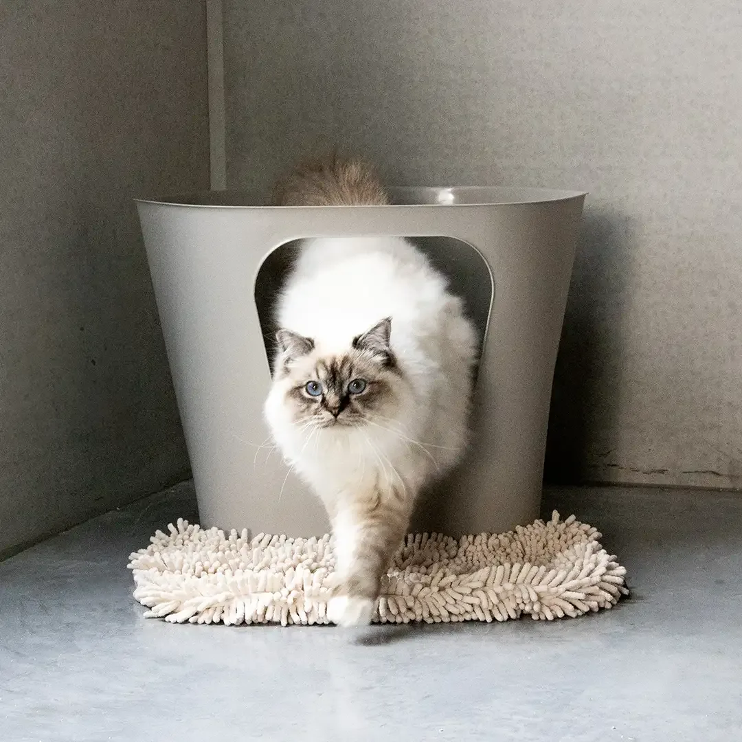 DAISY – kattenbakmat 50x34x2,5cm gebroken wit - Image 2