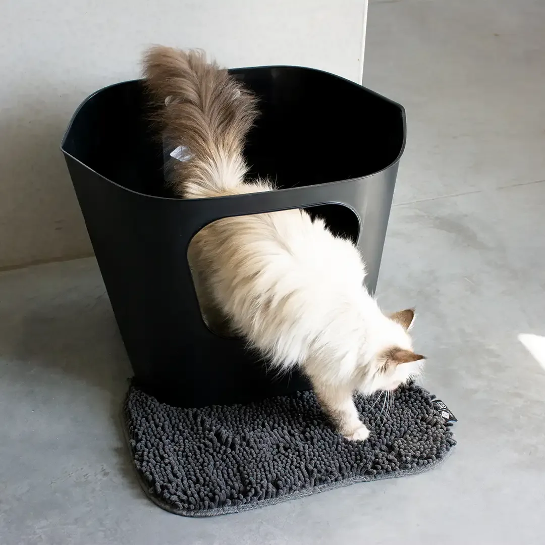 DAISY – Kattenbakmat 50x34x2,5cm zwart - Image 2