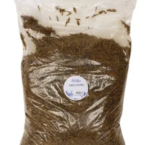 De Vries Meelworm Soldier Fly - 5 kg