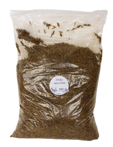 De Vries Meelworm Soldier Fly - 5 kg