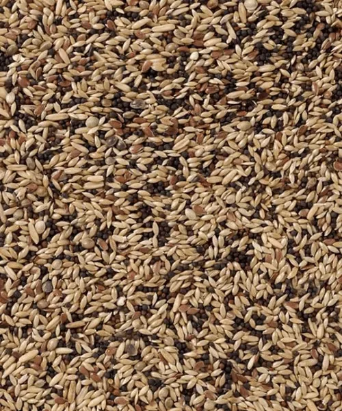 Deli Nature 53 Kanarie Extra (ook voor kleur- en postuurkanaries) - Image 2