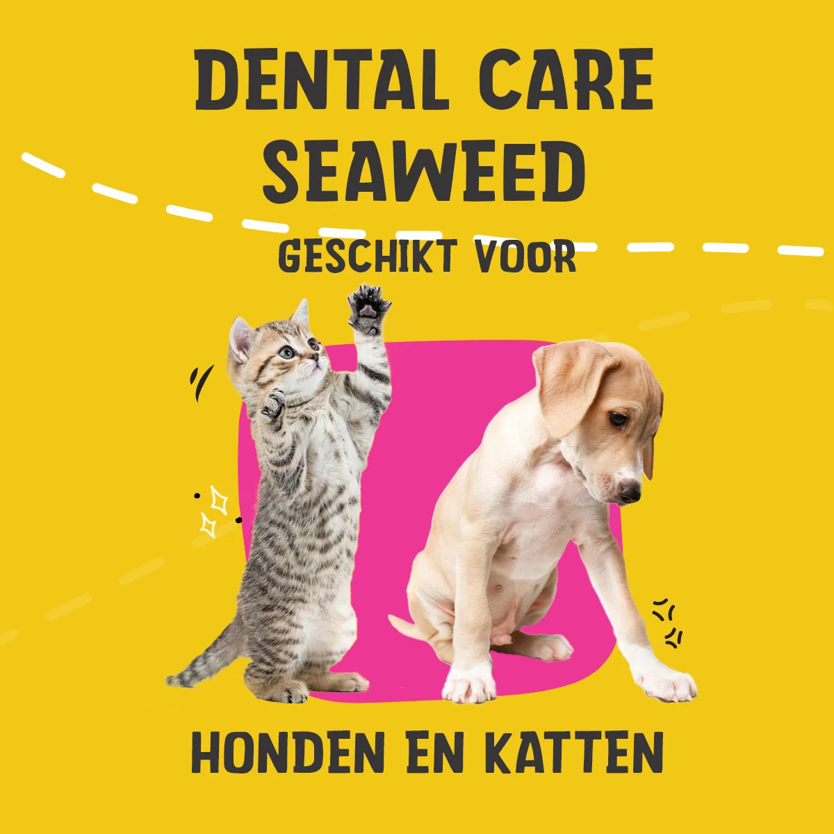 Dental Care Seaweed 75 g - Image 2