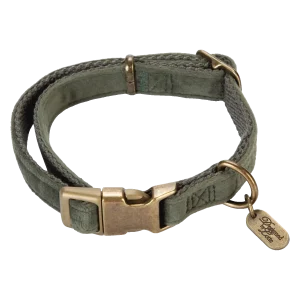 Designed by Lotte Velura Hondenhalsband Fluweel Groen
