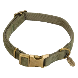 Designed by Lotte Velura Hondenhalsband Fluweel Groen