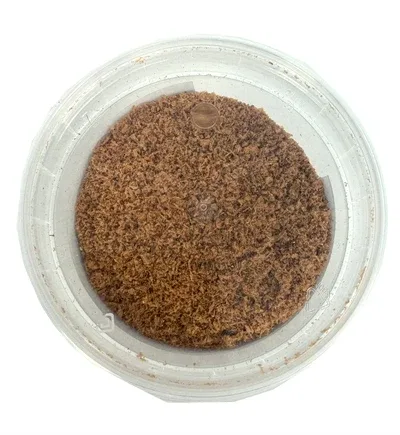 Dierendrogist Krill - 150 gr - Image 2