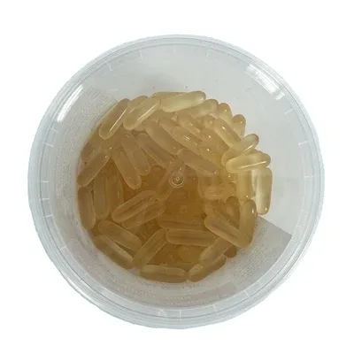 Dierendrogist Zalmolie Capsules 150 St - 100 mg - Image 2