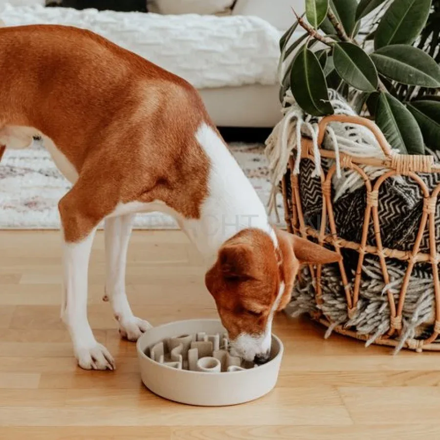 DISTRICT70 - Anti-schrok voerbak - Image 2