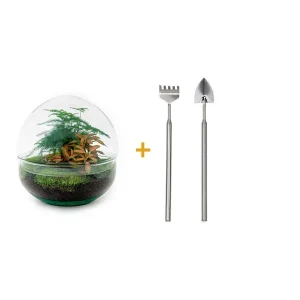 Doe-het-zelf plantenterrarium - Dome Red - Hoogte - Inclusief Hark, Schep