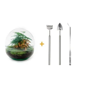 Doe-het-zelf plantenterrarium - Dome Red - Hoogte - Inclusief Hark, Schep, Pincet