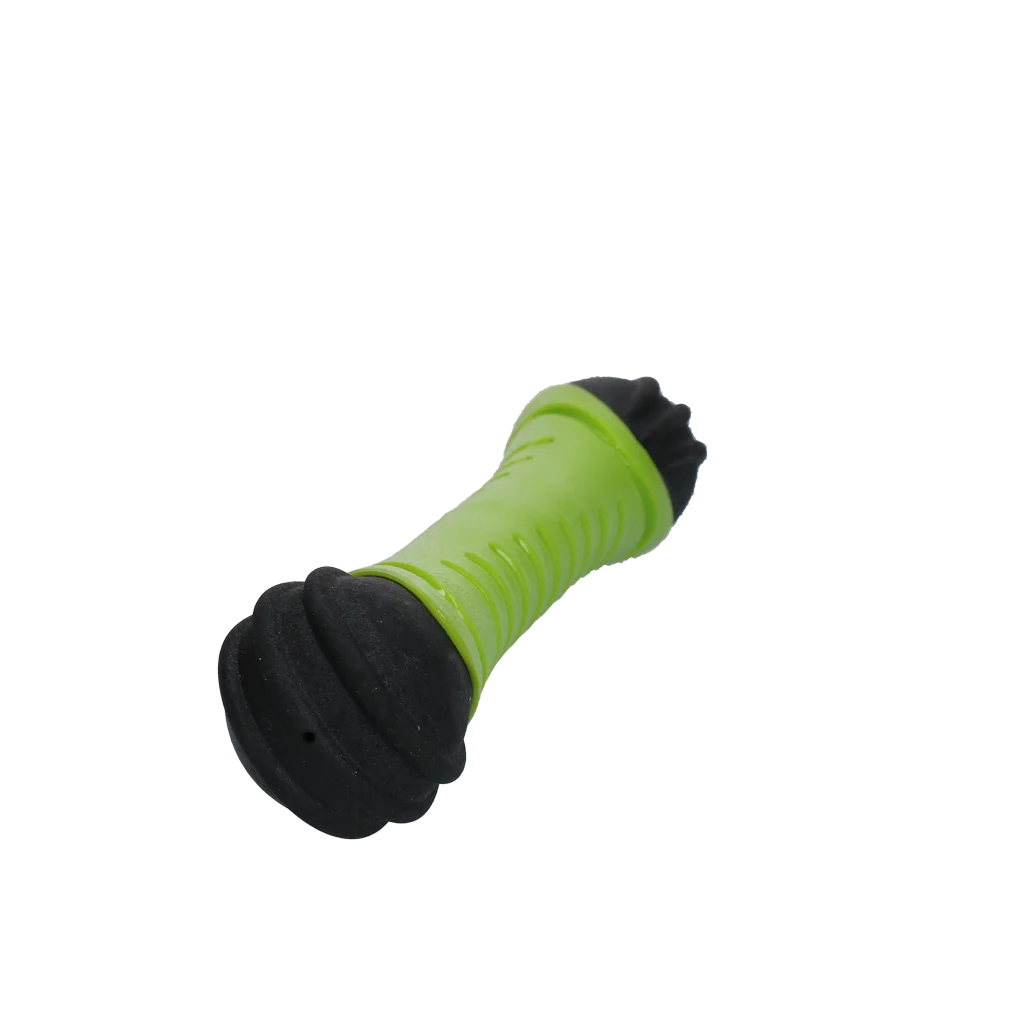 Dog Comets Asteroid Werpstok L Groen - Image 2