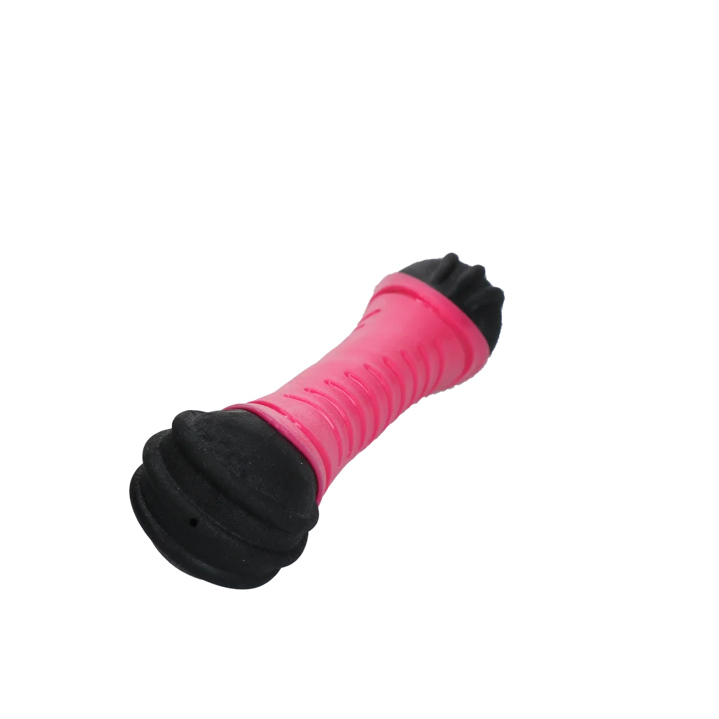 Dog Comets Asteroid Werpstok L Roze - Image 2