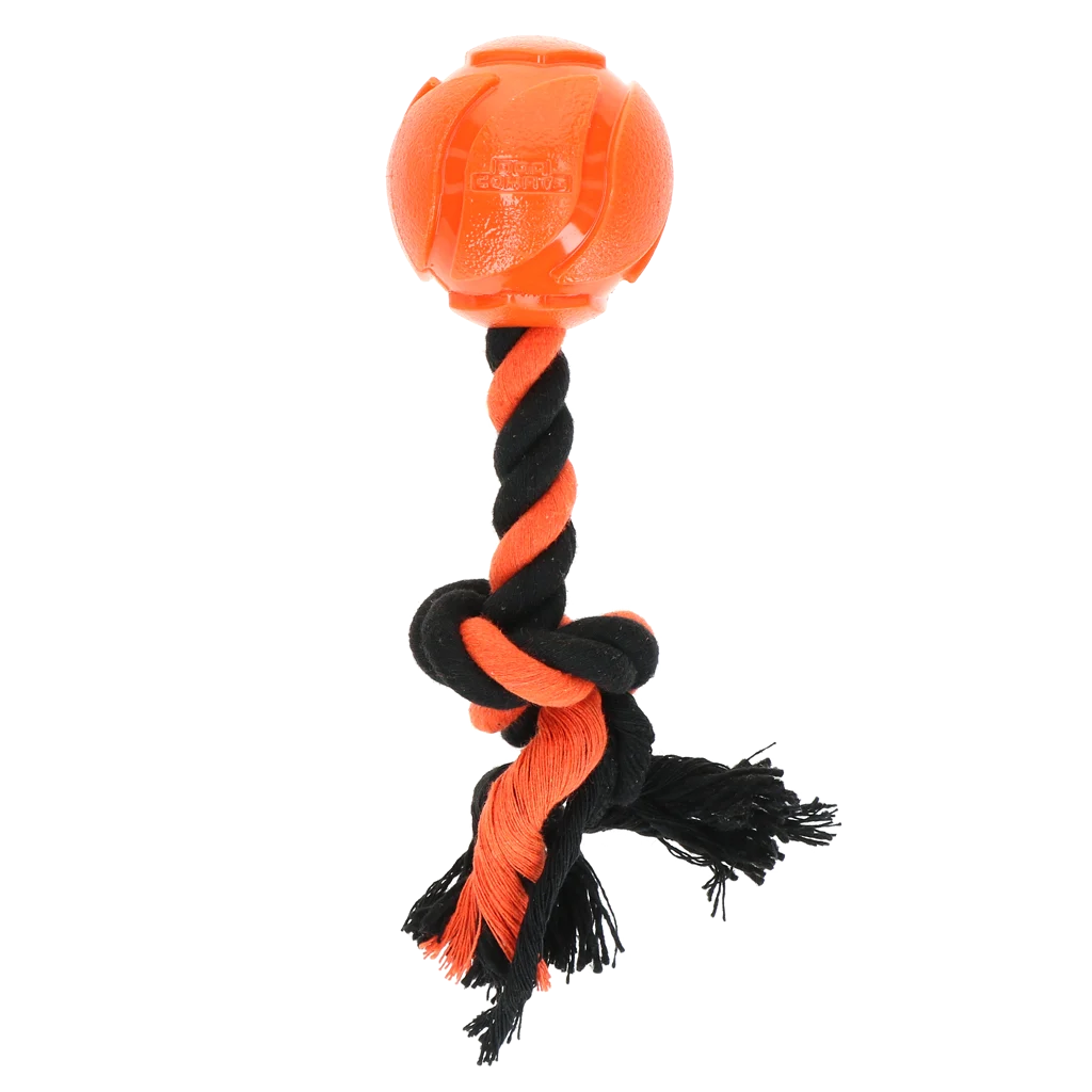 Dog Comets AstroTug Oranje - Image 2
