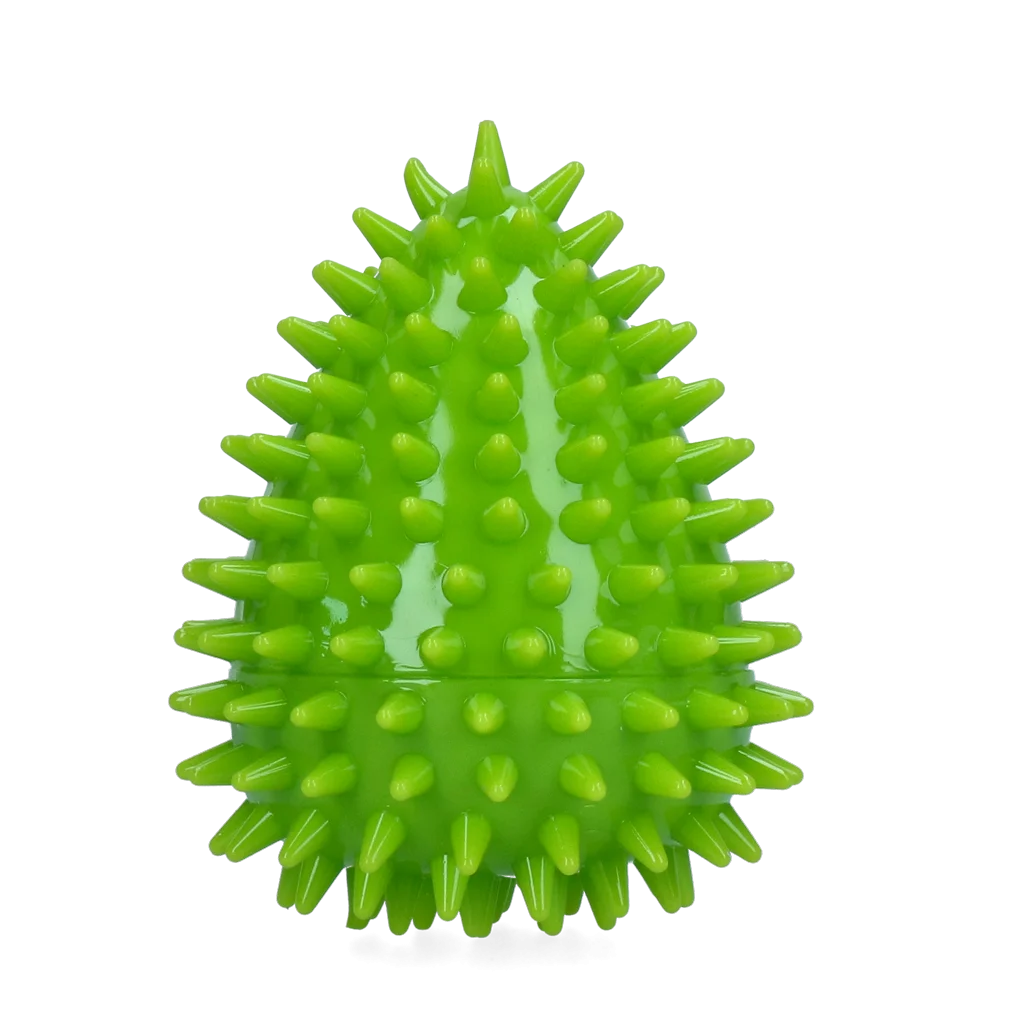 Dog Comets Cosmic Egg Groen M - Image 2