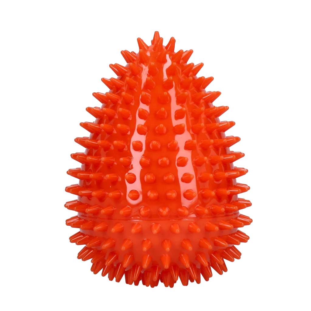 Dog Comets Cosmic Egg Oranje L - Image 2