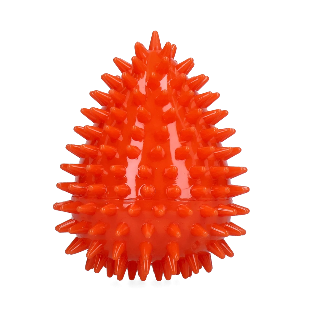 Dog Comets Cosmic Egg Oranje M - Image 2