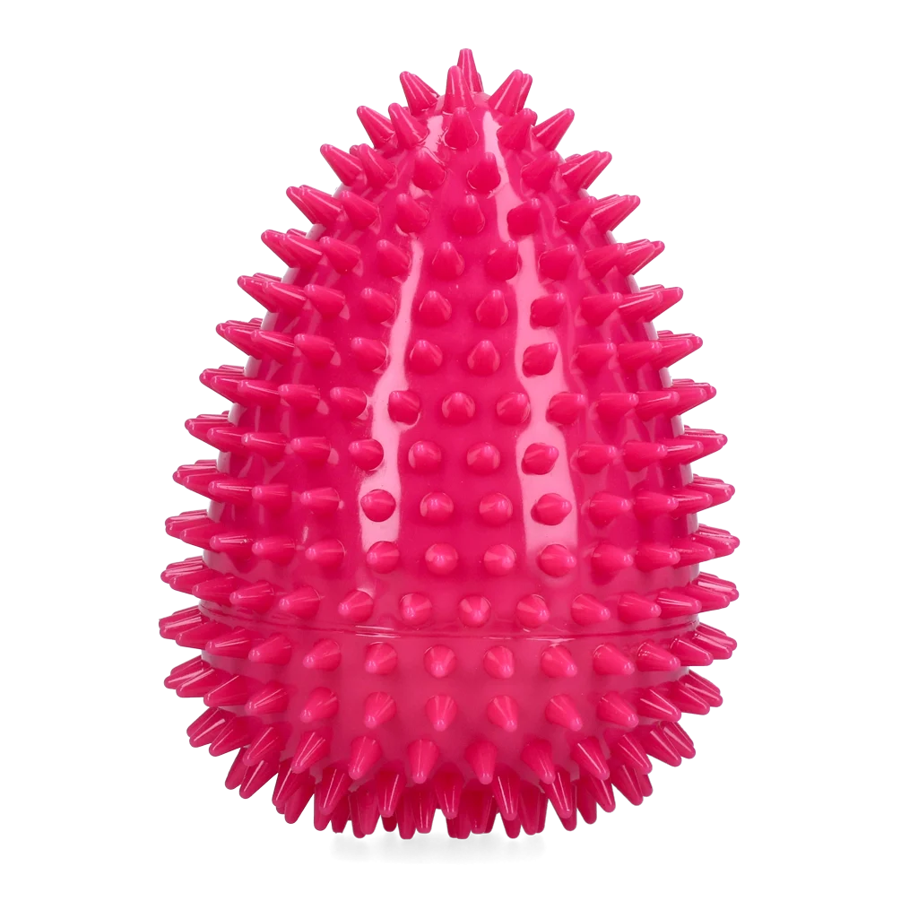 Dog Comets Cosmic Egg Roze L - Image 2