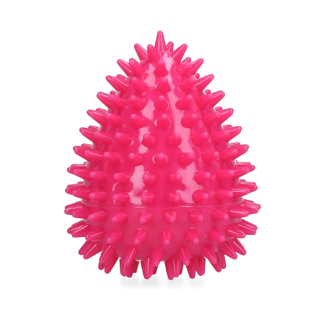 Dog Comets Cosmic Egg Roze M - Image 2