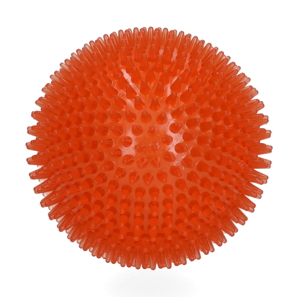 Dog Comets Exoplanet Egelbal L Oranje - Image 2