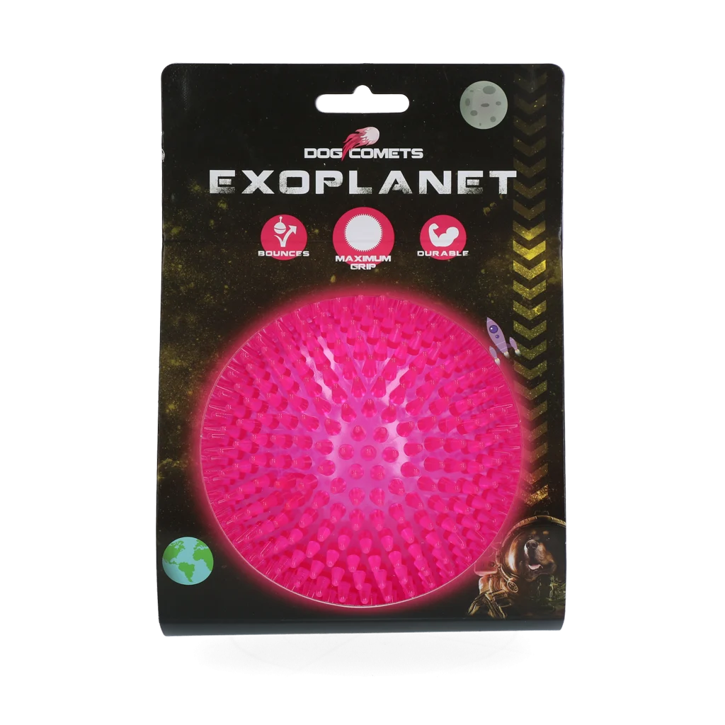 Dog Comets Exoplanet Egelbal L Roze