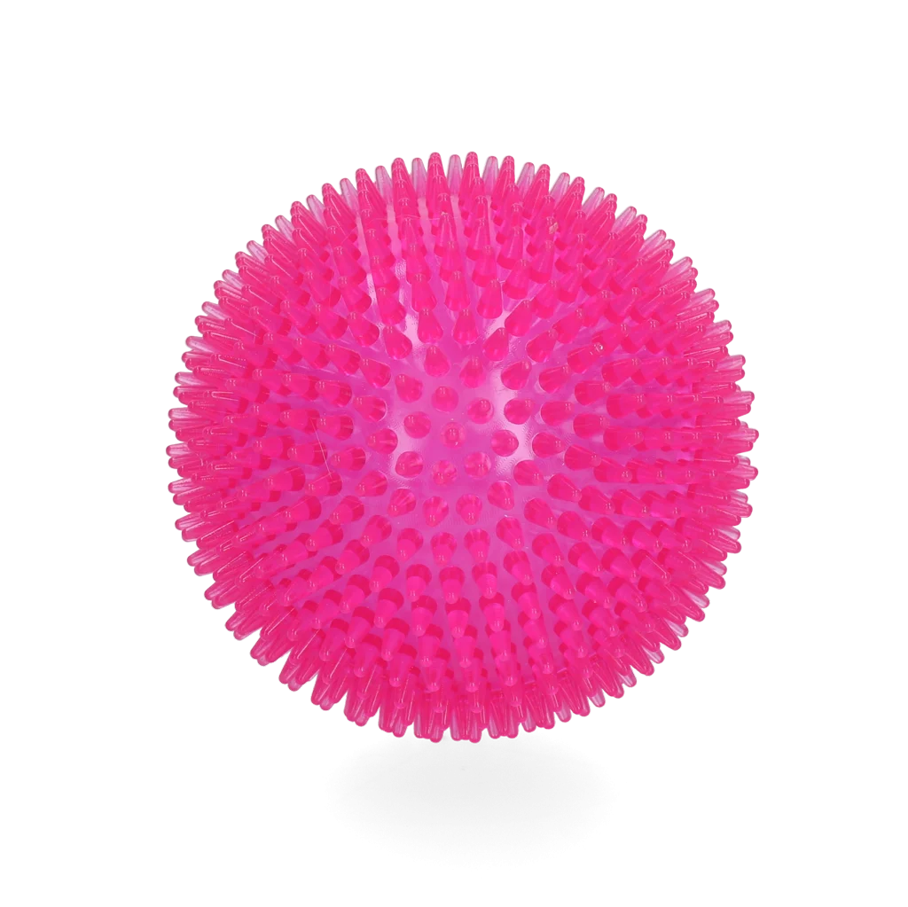 Dog Comets Exoplanet Egelbal L Roze - Image 2