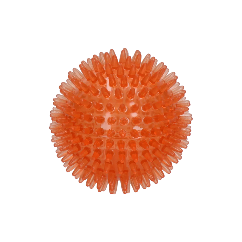 Dog Comets Exoplanet Egelbal M Oranje - Image 2
