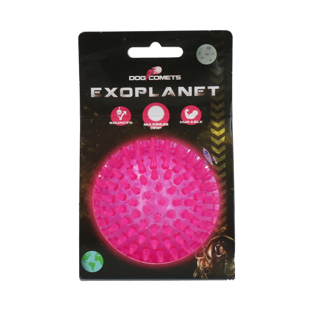 Dog Comets Exoplanet Egelbal M Roze