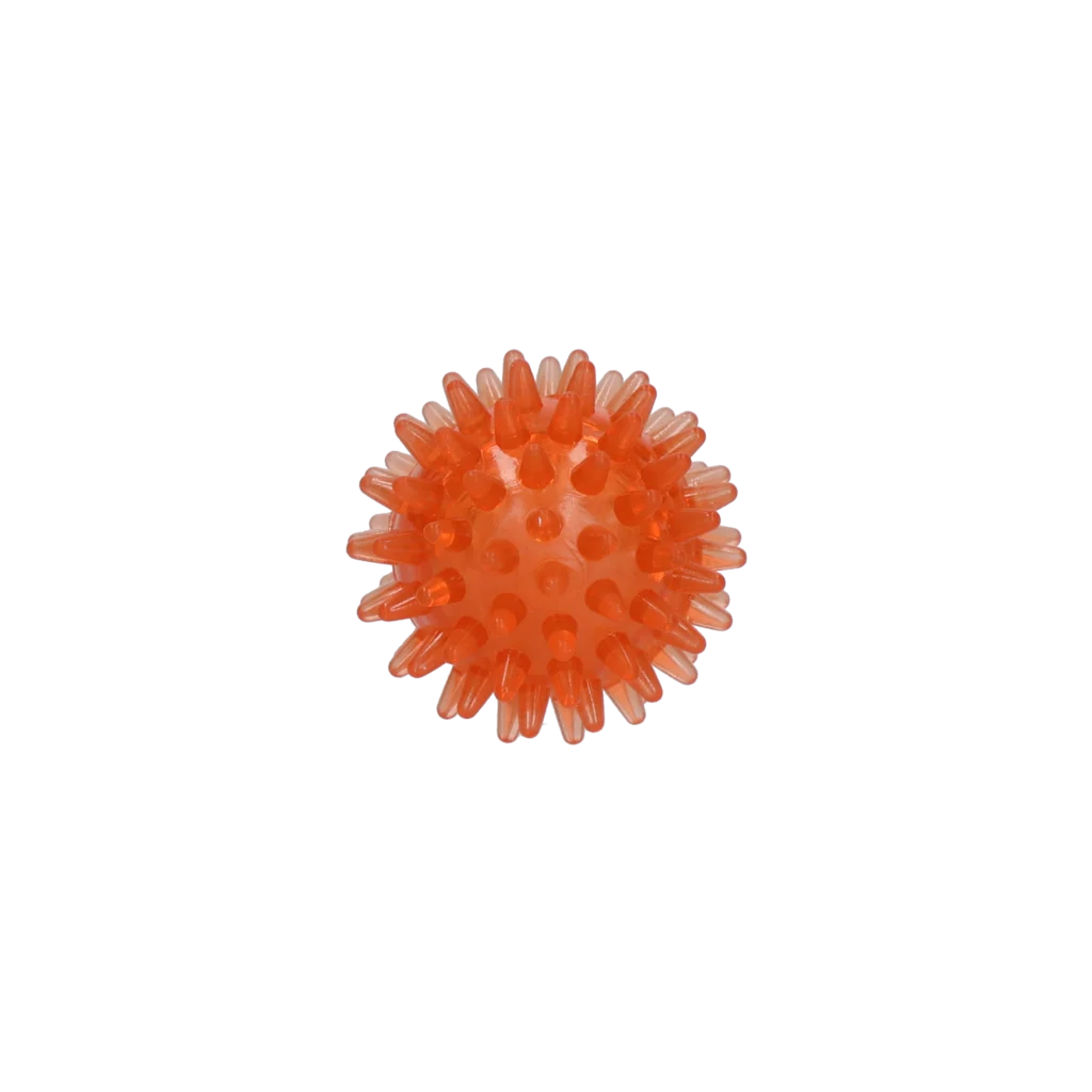 Dog Comets Exoplanet Egelbal S Oranje - Image 2
