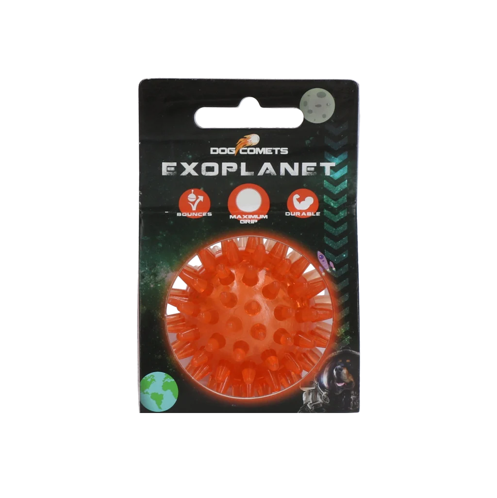 Dog Comets Exoplanet Egelbal S Oranje