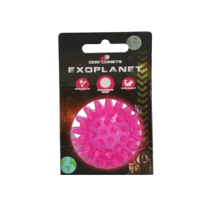 Dog Comets Exoplanet Egelbal S Roze