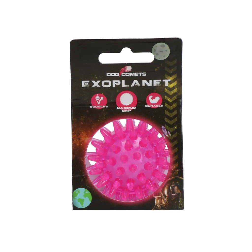 Dog Comets Exoplanet Egelbal S Roze