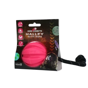 Dog Comets Halley Met Touw Roze
