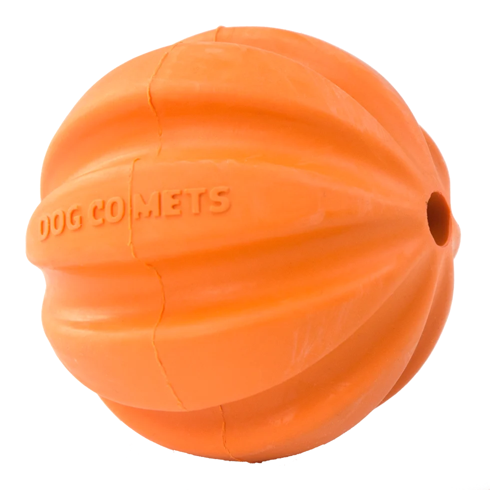Dog Comets Swift Tuttle Oranje - Image 2