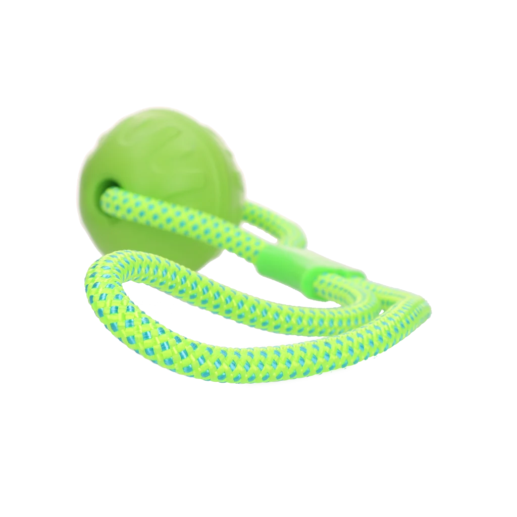 Dog Comets Vortex Loop Groen - Image 2