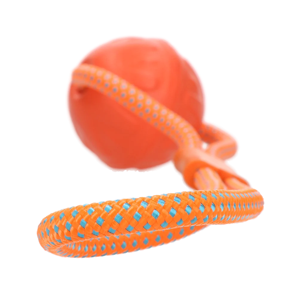 Dog Comets Vortex Loop Oranje - Image 2
