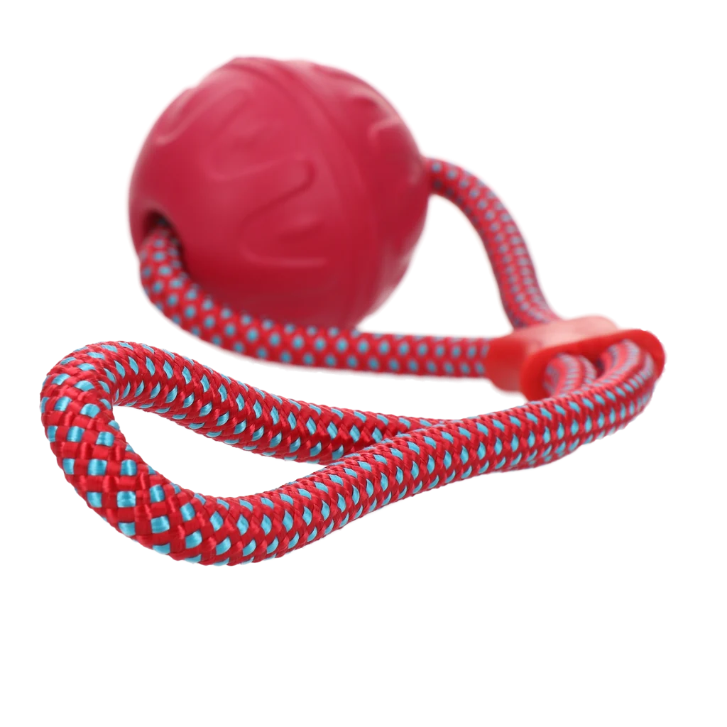 Dog Comets Vortex Loop Roze - Image 2