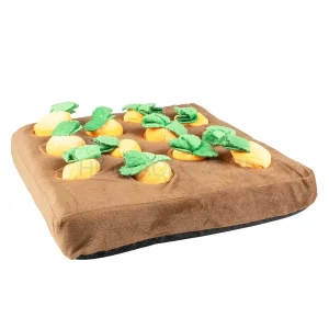 Duvo - Snackmat wortel moestuin