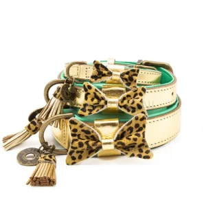 DWAM - Bling Halsband