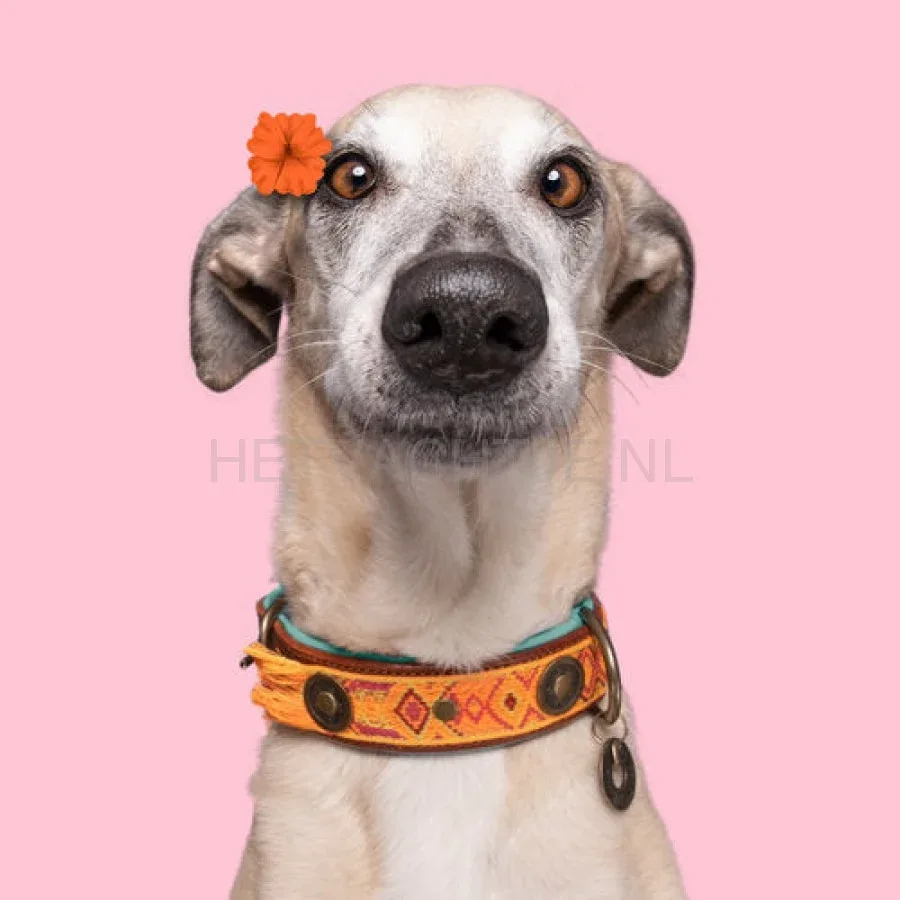 DWAM - Boho Chica Halsband - Image 2