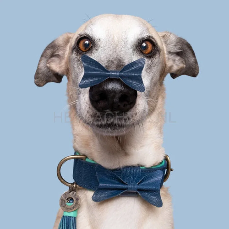 DWAM - Buster Halsband - Image 2