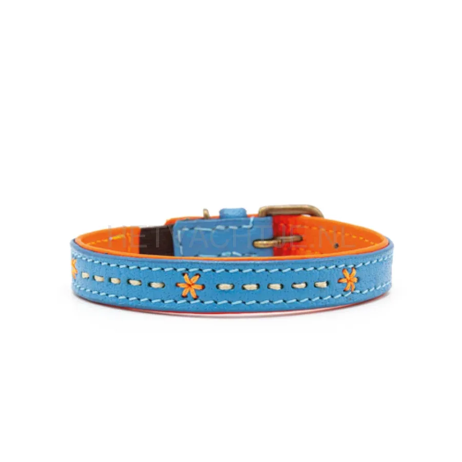 DWAM - Felix Katten Halsband