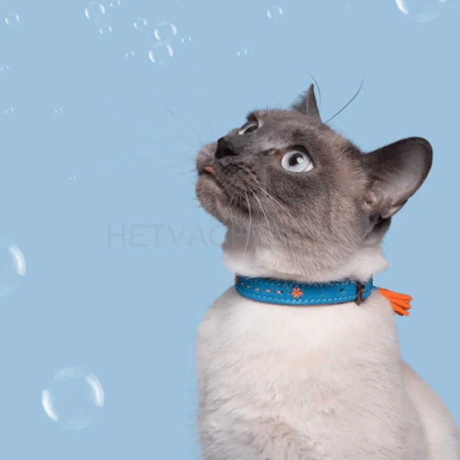 DWAM - Felix Katten Halsband - Image 2