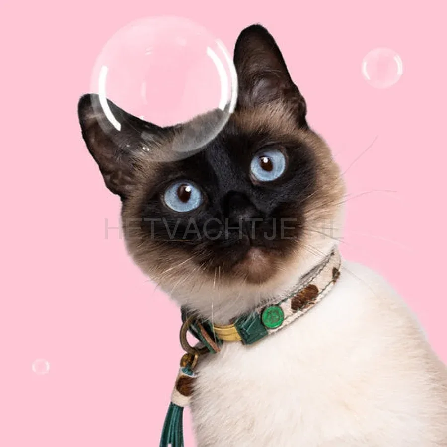 DWAM - Ivy Katten Halsband - Image 2