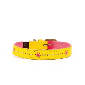 DWAM - Ollie Katten Halsband