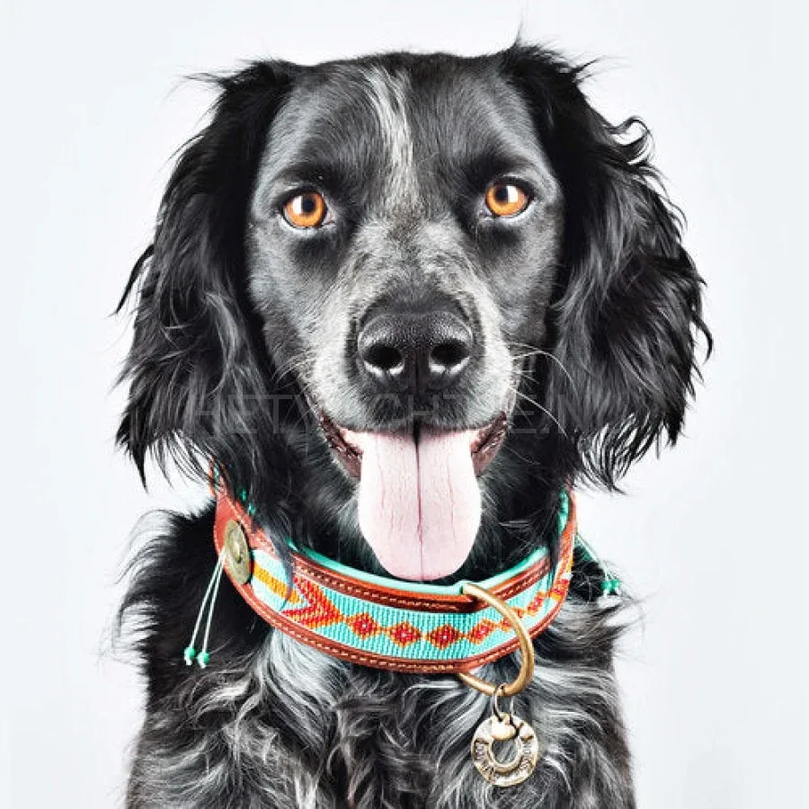 DWAM - Paddy Lee Halsband - Image 2