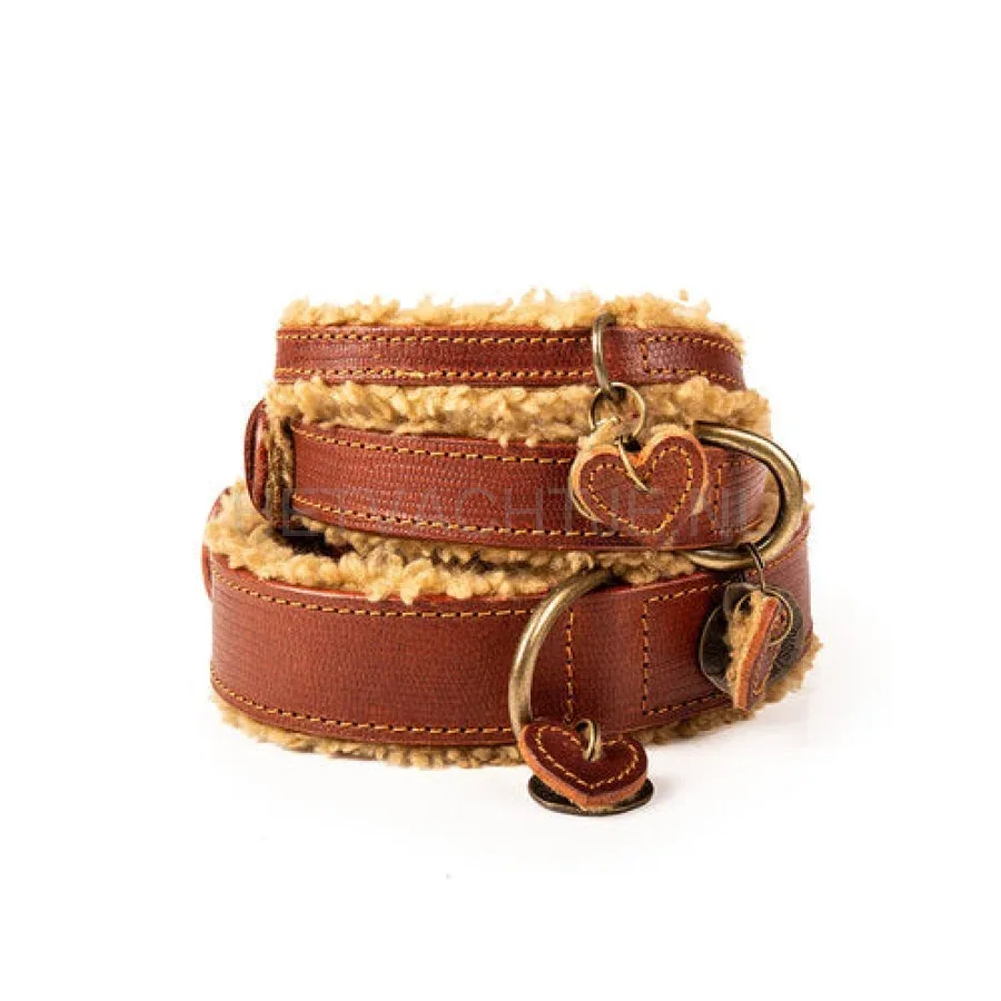 DWAM - Teddy Halsband