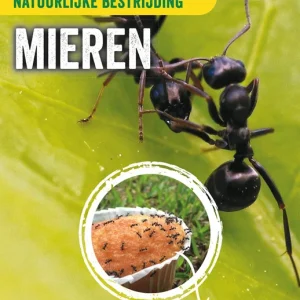 ECOstyle Aaltjes - tegen mieren