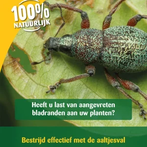 ECOstyle Aaltjes - val tegen taxuskevers